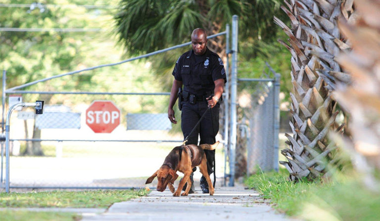 Forging a Community Bond